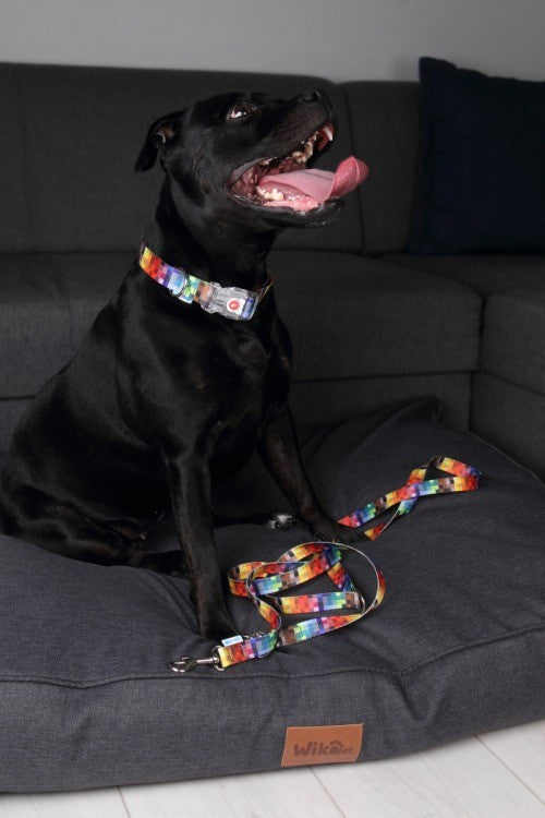 Collar With A LED Plastic Buckle - Pixels