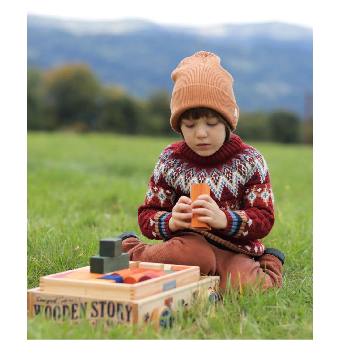 Wooden Toys