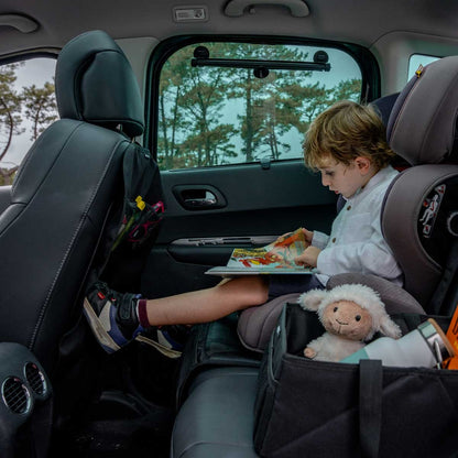 Classic Car Seat Organizer
