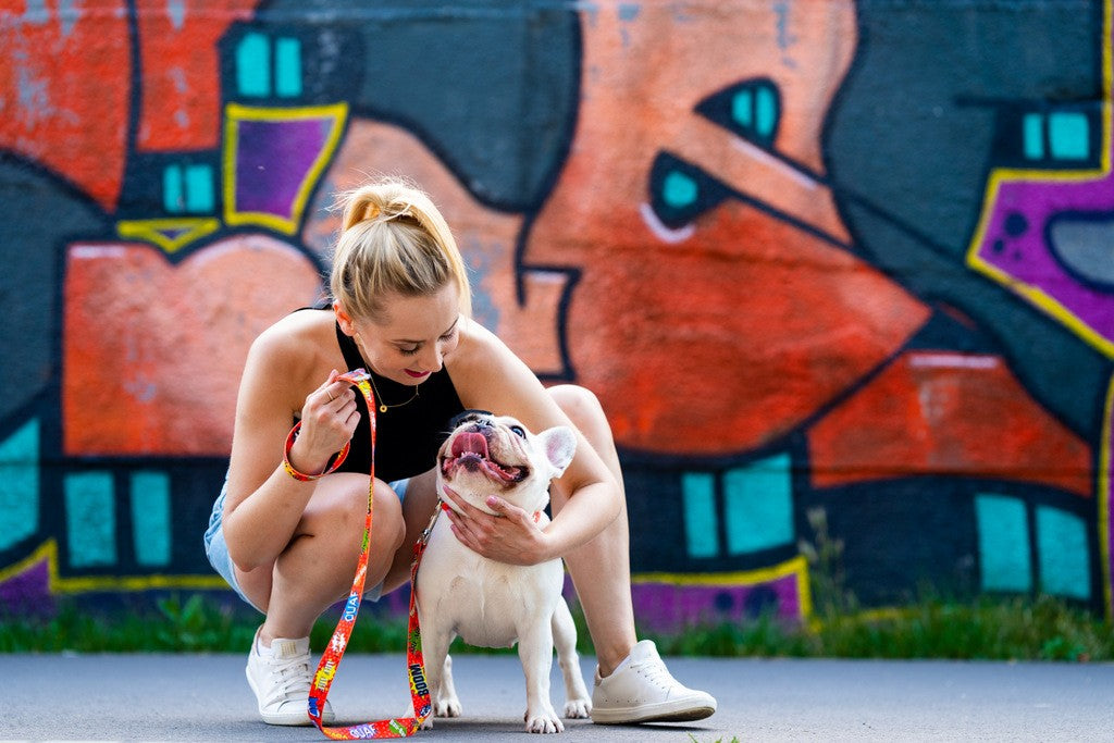 Leash - Red Graffiti