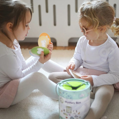 Mystery Box Touch and Match